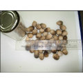 Champignons de paille à champignons de haute qualité en provenance de Chine